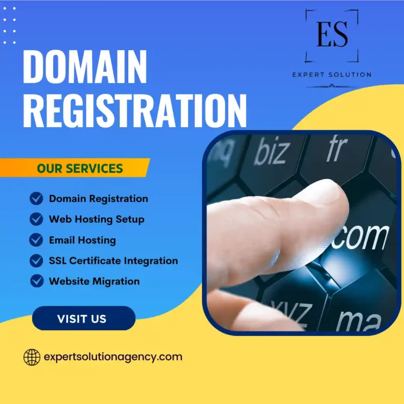 Domain Registration and Web Hosting Setup Service | Expert Solution Agency.